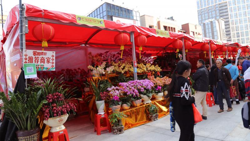Spring Festival Flower Fair in Guangzhou 2018