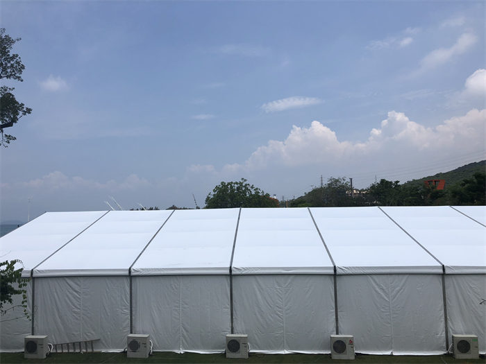 Party Tent 20x40m-4