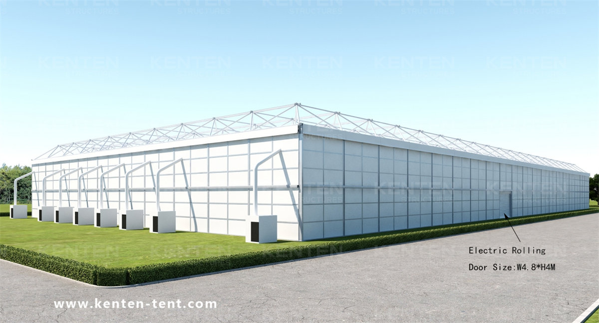 100m x 50m x 8m Exhibiton Tent