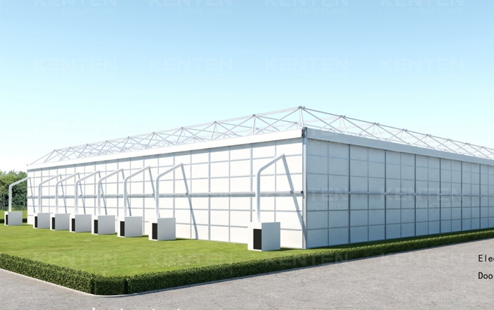 100m x 50m x 8m Exhibiton Tent